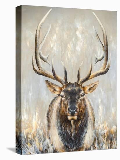 Imperial Bull Elk-Dina Perejogina-Stretched Canvas