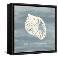 Imperial Conch-Z Studio-Framed Stretched Canvas