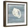 Imperial Conch-Z Studio-Framed Art Print