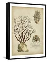 Imperial Coral III-null-Framed Stretched Canvas