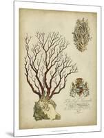 Imperial Coral III-null-Mounted Art Print