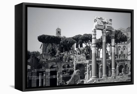 Imperial Forum-ValentinaPhotos-Framed Stretched Canvas