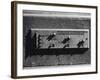 Imperial Measures-null-Framed Photographic Print