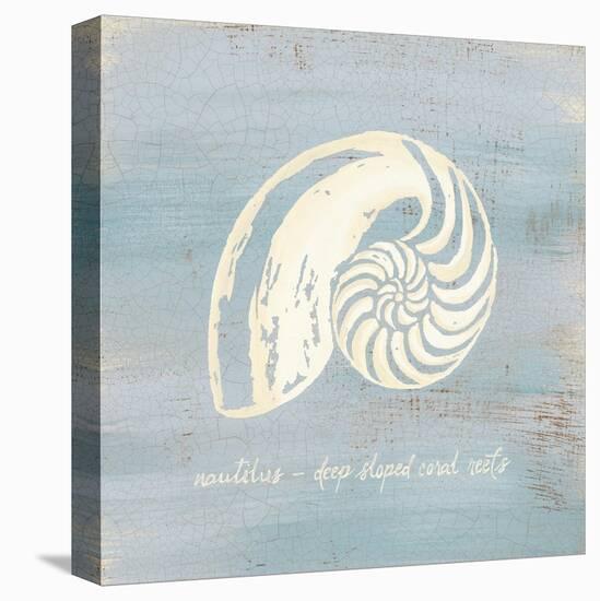 Imperial Nautilus-Z Studio-Stretched Canvas