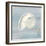 Imperial Nautilus-Z Studio-Framed Art Print