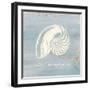 Imperial Nautilus-Z Studio-Framed Art Print