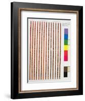 Imperial or Official Chinese Regulations-null-Framed Giclee Print