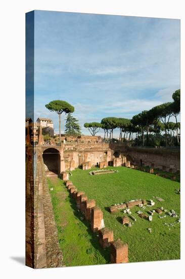 Imperial Palace at Forum Romanum, Palatine Hill, Rome, Lazio, Italy, Europe-Carlo-Stretched Canvas