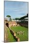 Imperial Palace at Forum Romanum, Palatine Hill, Rome, Lazio, Italy, Europe-Carlo-Mounted Photographic Print