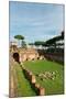 Imperial Palace at Forum Romanum, Palatine Hill, Rome, Lazio, Italy, Europe-Carlo-Mounted Photographic Print