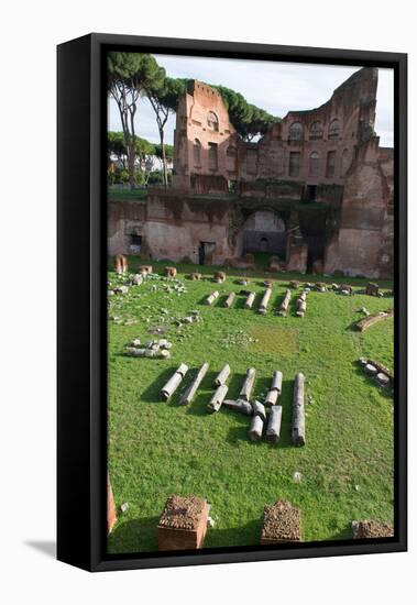 Imperial Palace at Forum Romanum, Palatine Hill, Rome, Lazio, Italy, Europe-Carlo-Framed Stretched Canvas