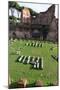 Imperial Palace at Forum Romanum, Palatine Hill, Rome, Lazio, Italy, Europe-Carlo-Mounted Photographic Print