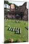 Imperial Palace at Forum Romanum, Palatine Hill, Rome, Lazio, Italy, Europe-Carlo-Mounted Photographic Print