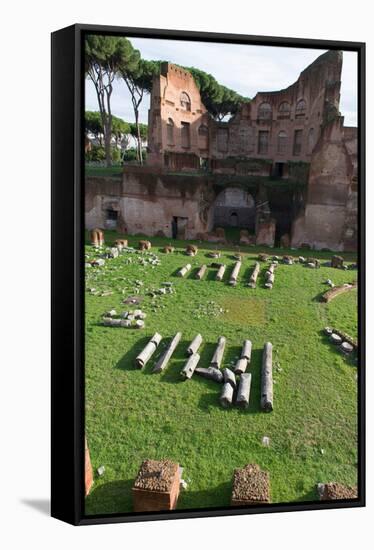 Imperial Palace at Forum Romanum, Palatine Hill, Rome, Lazio, Italy, Europe-Carlo-Framed Stretched Canvas