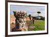 Imperial Palace at Forum Romanum, Palatine Hill, Rome, Lazio, Italy, Europe-Carlo-Framed Photographic Print