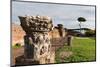 Imperial Palace at Forum Romanum, Palatine Hill, Rome, Lazio, Italy, Europe-Carlo-Mounted Photographic Print