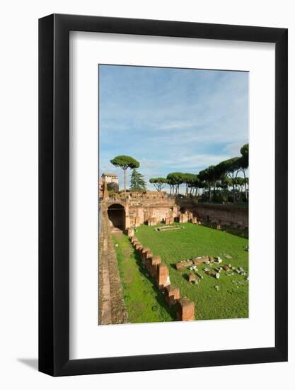 Imperial Palace at Forum Romanum, Palatine Hill, Rome, Lazio, Italy, Europe-Carlo-Framed Photographic Print