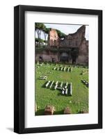 Imperial Palace at Forum Romanum, Palatine Hill, Rome, Lazio, Italy, Europe-Carlo-Framed Photographic Print