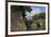 Imperial Palace, Tokyo, Japan, Asia-Richard Cummins-Framed Photographic Print