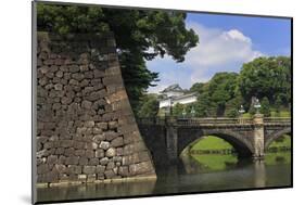 Imperial Palace, Tokyo, Japan, Asia-Richard Cummins-Mounted Photographic Print