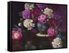 Imperial Peonies-Christopher Pierce-Framed Stretched Canvas
