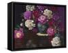 Imperial Peonies-Christopher Pierce-Framed Stretched Canvas