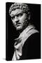 Imperial Roman Bust of Emperor Caracalla-null-Stretched Canvas