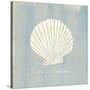 Imperial Scallop-Z Studio-Stretched Canvas