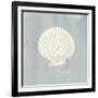 Imperial Scallop-Z Studio-Framed Art Print