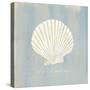 Imperial Scallop-Z Studio-Stretched Canvas