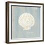 Imperial Scallop-Z Studio-Framed Art Print