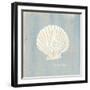 Imperial Scallop-Z Studio-Framed Art Print