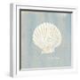 Imperial Scallop-Z Studio-Framed Art Print