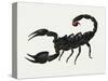 Imperial Scorpion (Pandinus Imperator), Scorpionidae. Artwork by Bridgette James-null-Stretched Canvas