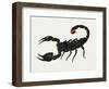 Imperial Scorpion (Pandinus Imperator), Scorpionidae. Artwork by Bridgette James-null-Framed Giclee Print
