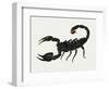 Imperial Scorpion (Pandinus Imperator), Scorpionidae. Artwork by Bridgette James-null-Framed Giclee Print