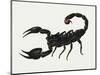 Imperial Scorpion (Pandinus Imperator), Scorpionidae. Artwork by Bridgette James-null-Mounted Giclee Print