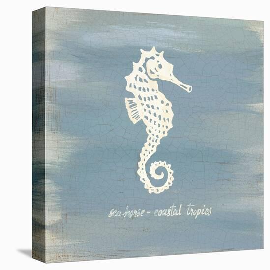 Imperial Seahorse-Z Studio-Stretched Canvas