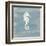 Imperial Seahorse-Z Studio-Framed Art Print