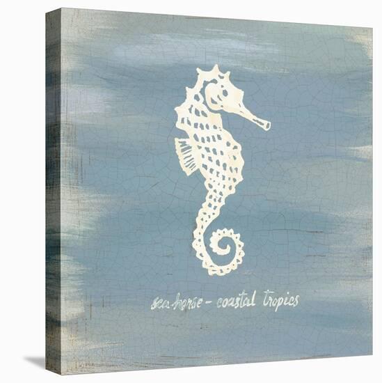 Imperial Seahorse-Z Studio-Stretched Canvas