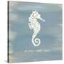 Imperial Seahorse-Z Studio-Stretched Canvas