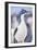 Imperial shag (Leucocarbo atriceps), Sea Lion Island, Falkland Islands, South America-Marco Simoni-Framed Photographic Print