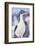 Imperial shag (Leucocarbo atriceps), Sea Lion Island, Falkland Islands, South America-Marco Simoni-Framed Photographic Print