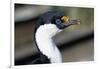 Imperial Shag-Paul Souders-Framed Photographic Print