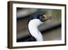 Imperial Shag-Paul Souders-Framed Photographic Print