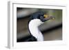 Imperial Shag-Paul Souders-Framed Photographic Print