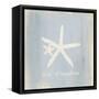 Imperial Starfish-Z Studio-Framed Stretched Canvas