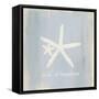 Imperial Starfish-Z Studio-Framed Stretched Canvas