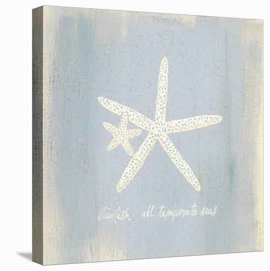 Imperial Starfish-Z Studio-Stretched Canvas