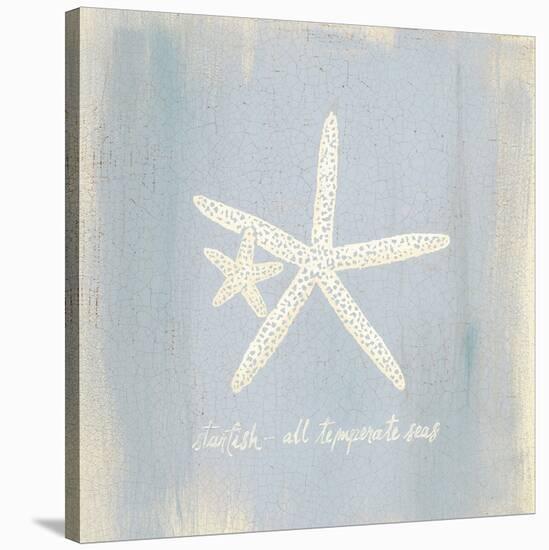 Imperial Starfish-Z Studio-Stretched Canvas